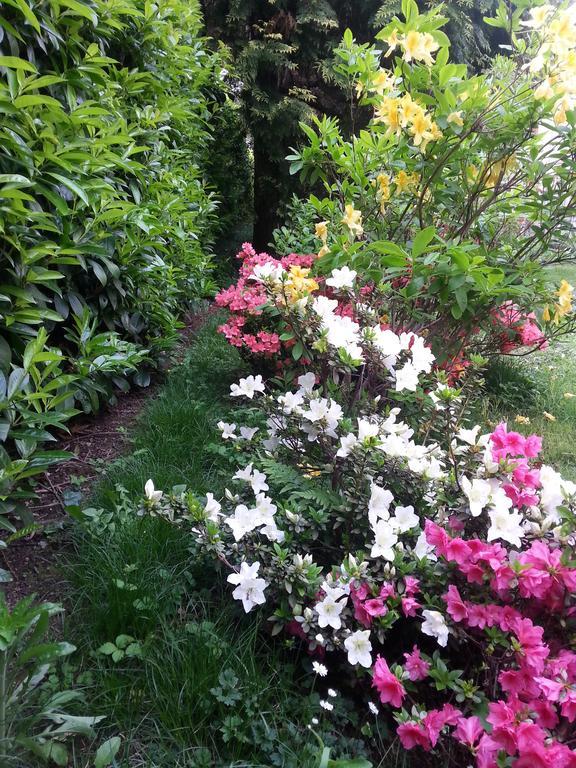 B&B Gloria Gallarate Luaran gambar