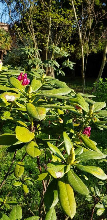 B&B Gloria Gallarate Luaran gambar